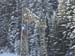 Maria Alm 2010 049