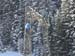 Maria Alm 2010 050