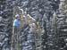Maria Alm 2010 053